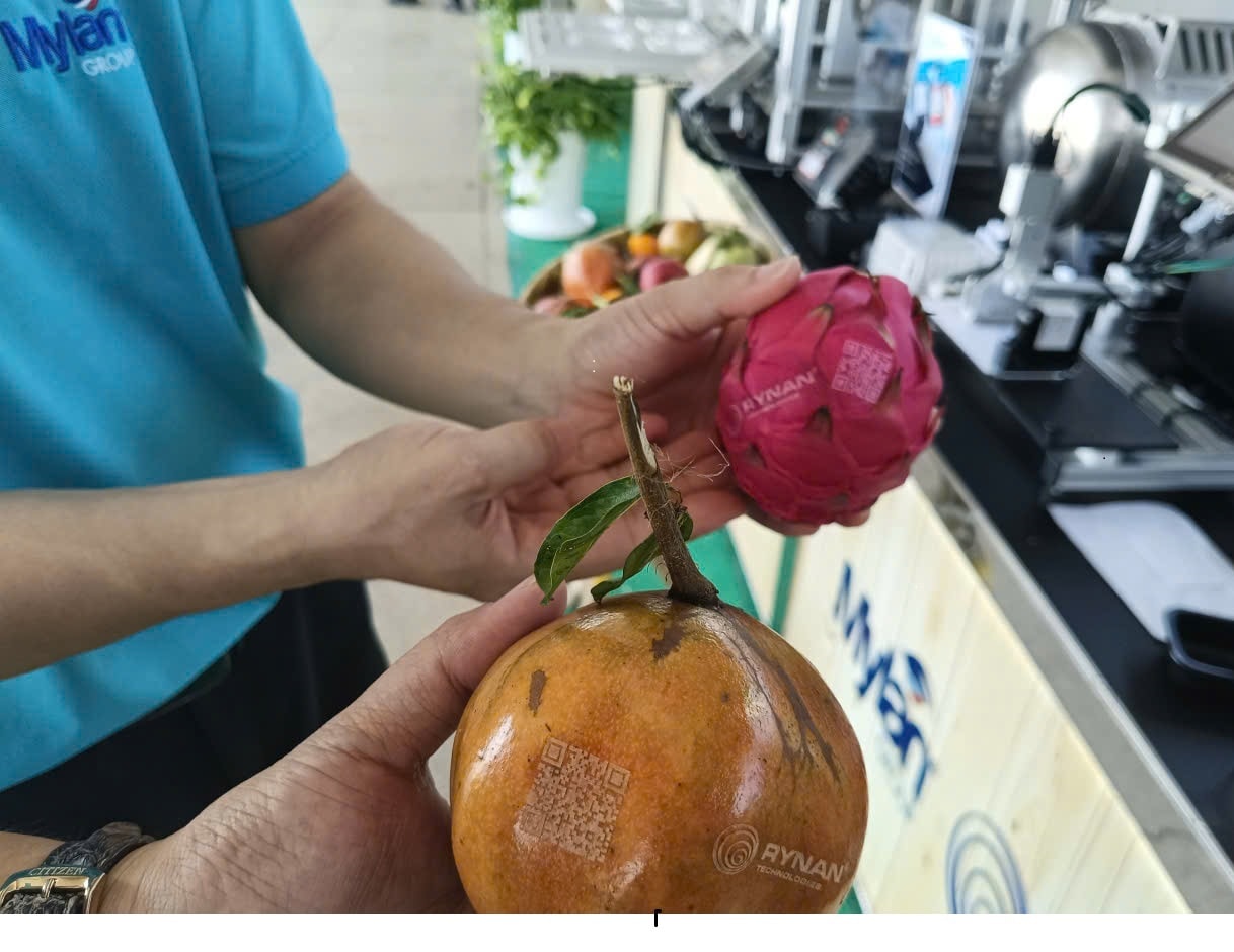 THUONG HIEU MỚI 3