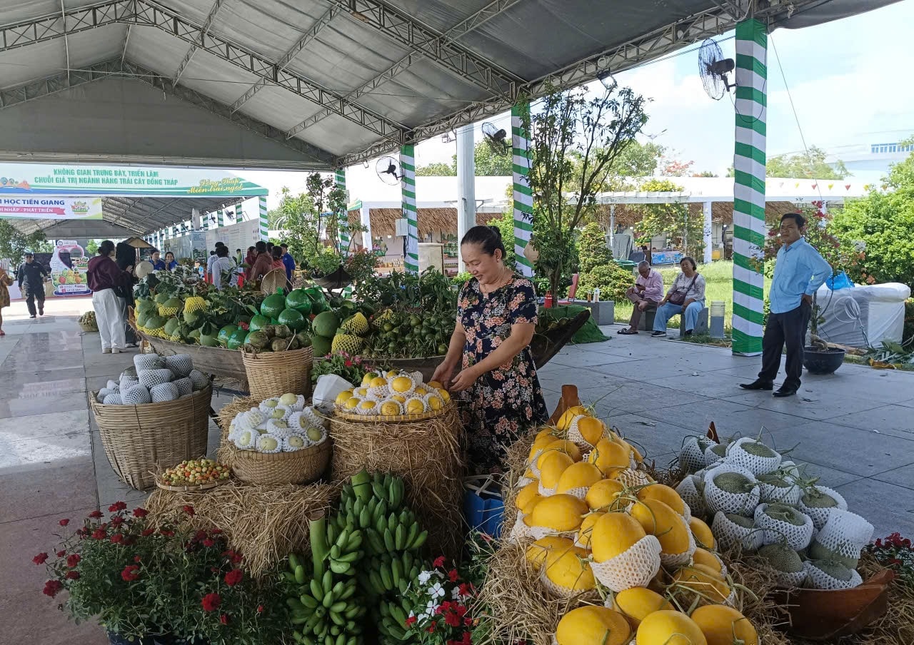 thương hiệu MỚI 4