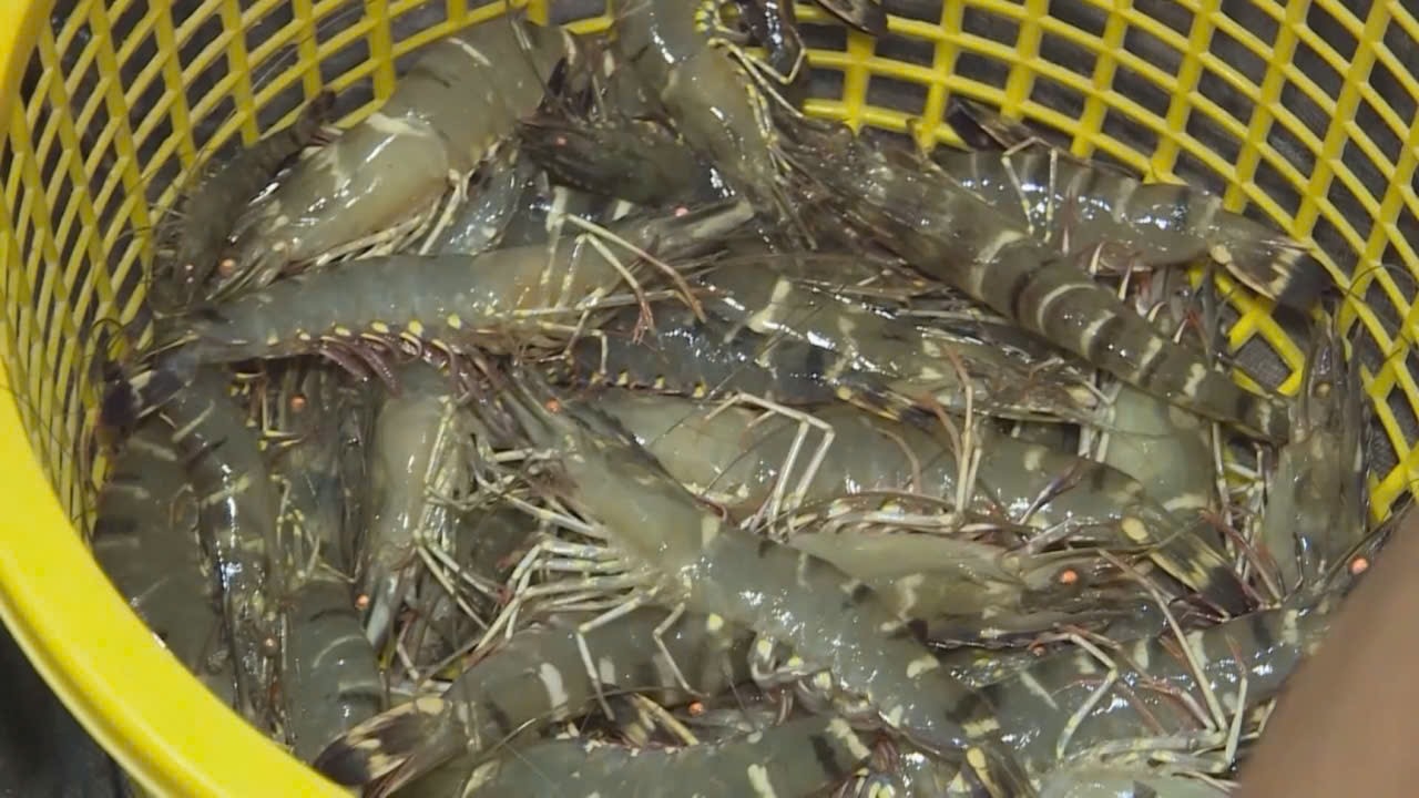 CÔNG NGHỆ XANH 4