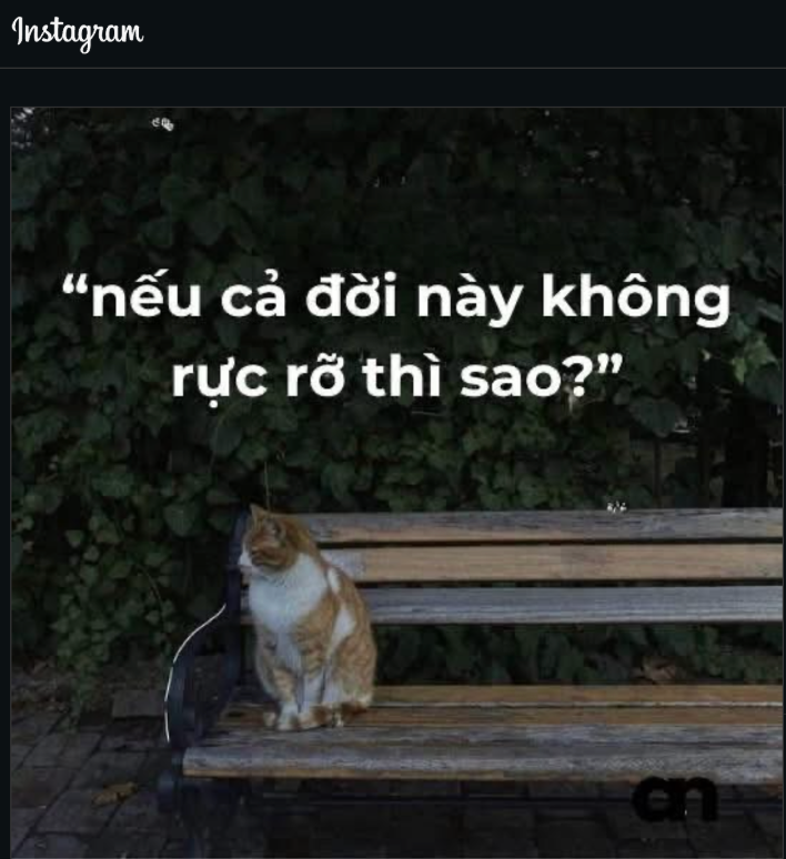 1773717690.png