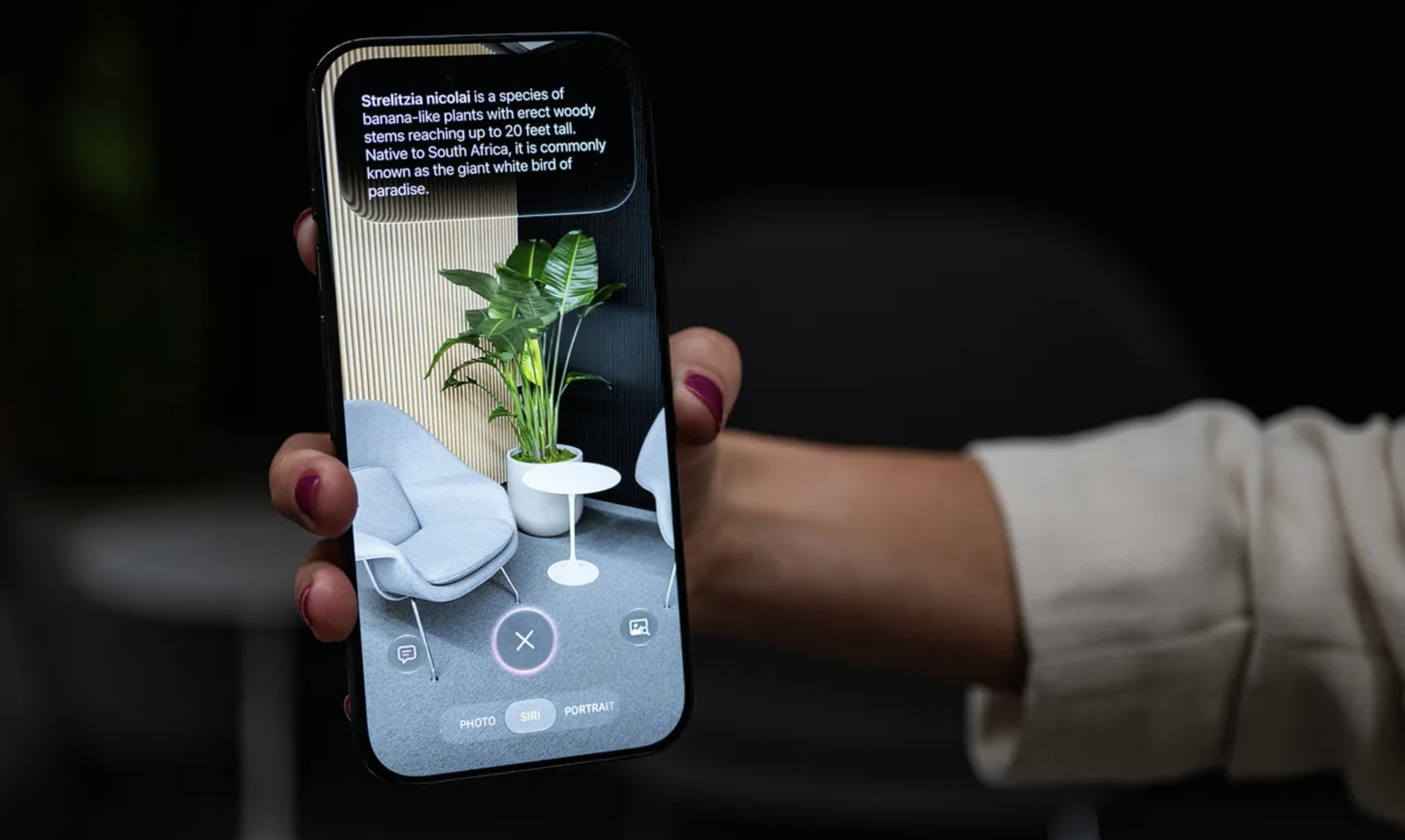 Apple chưa cho Siri sửa ảnh bằng AI, hạn chế tối đa AI tự bịa ra nội dung mới