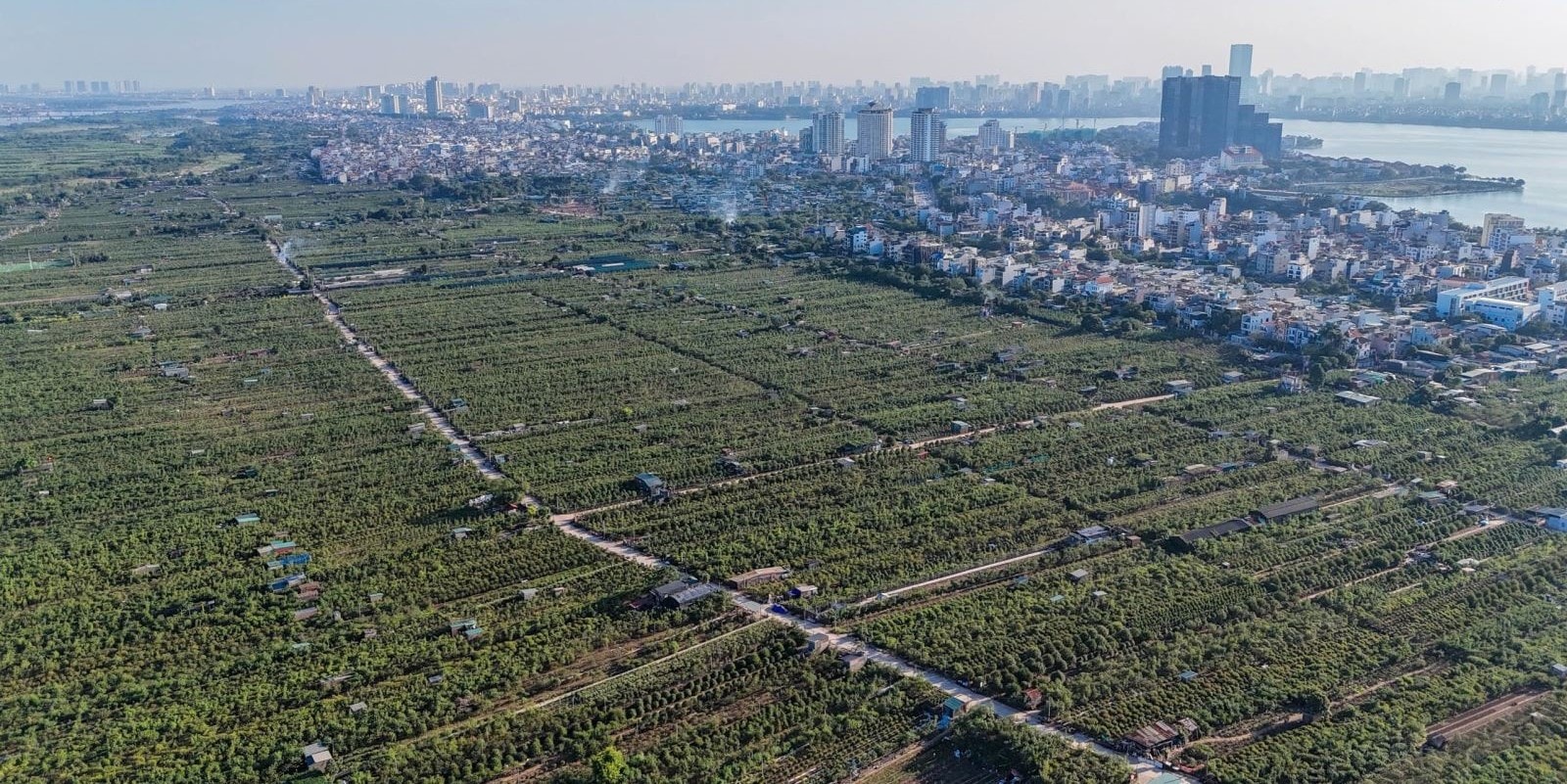 Sông Hồng 