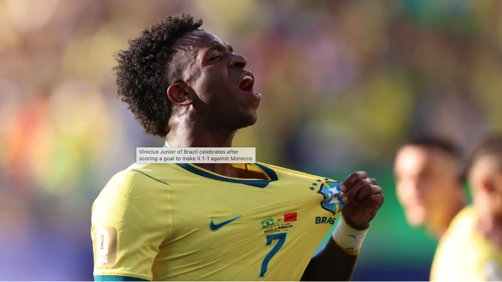 vinicius-brazil.png