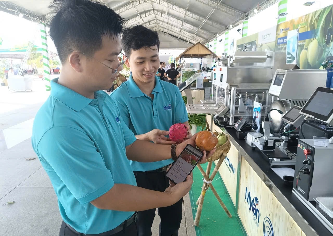chuyển đổi số 4