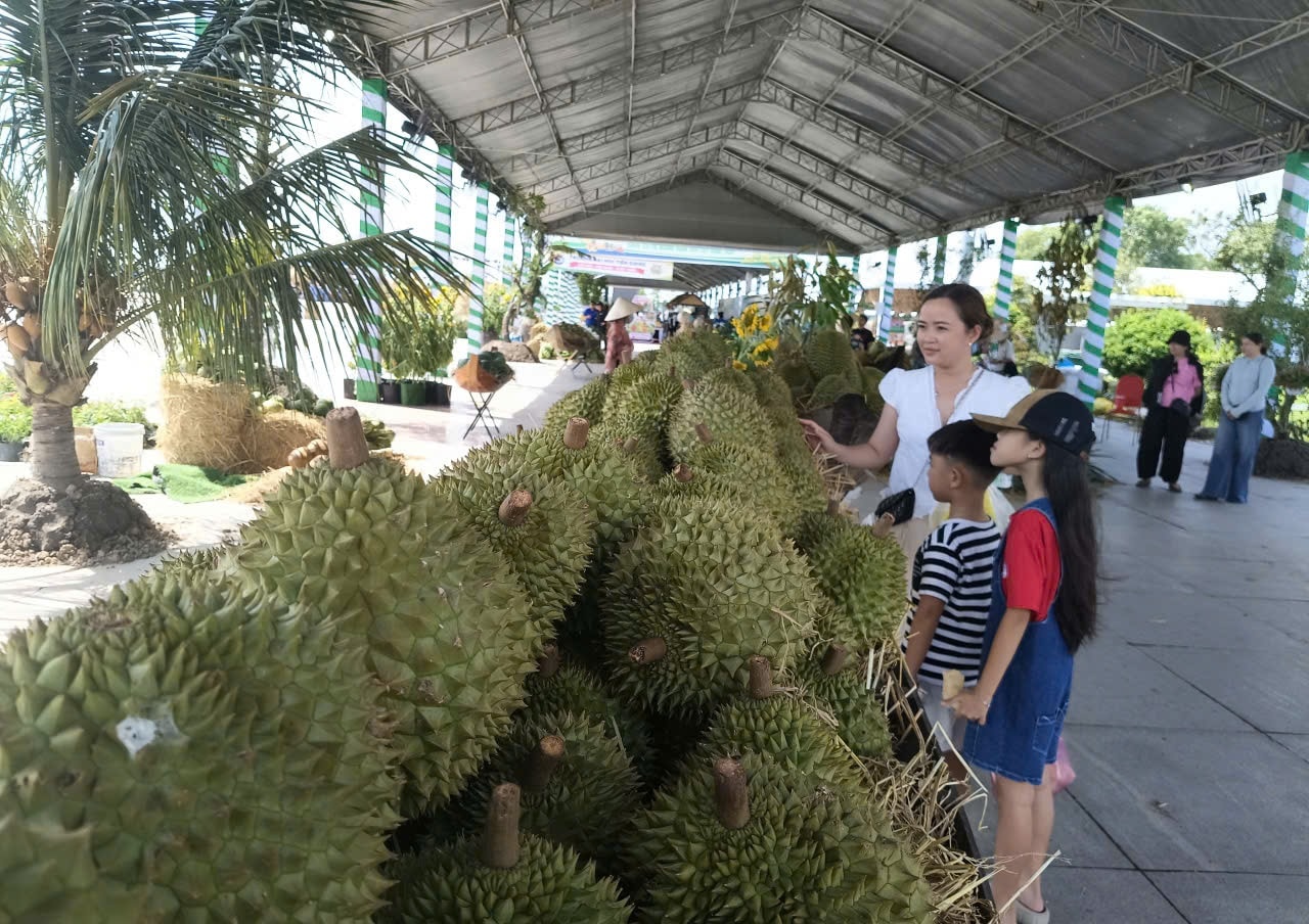 NONG SAN DBSCL 3