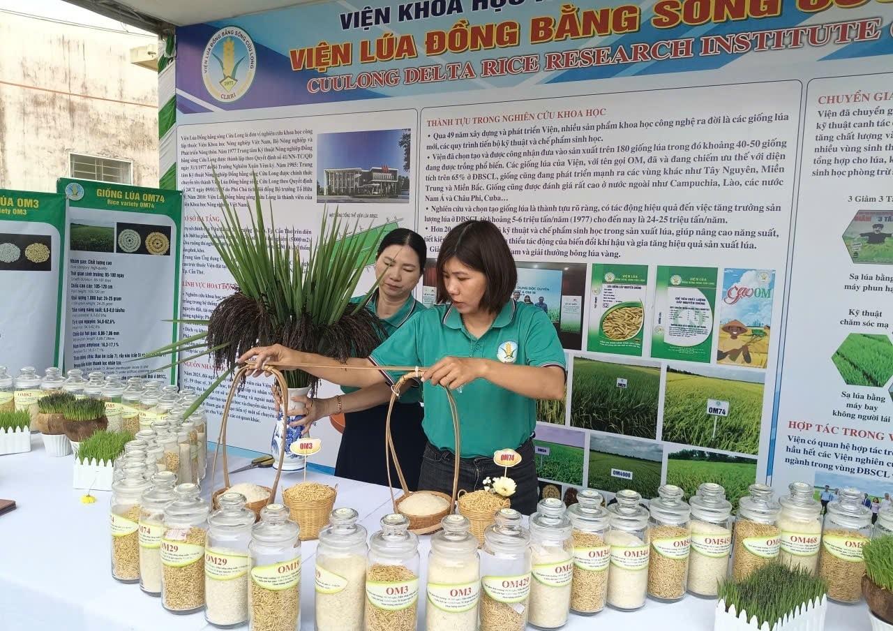 NONG SAN DBSCL 7