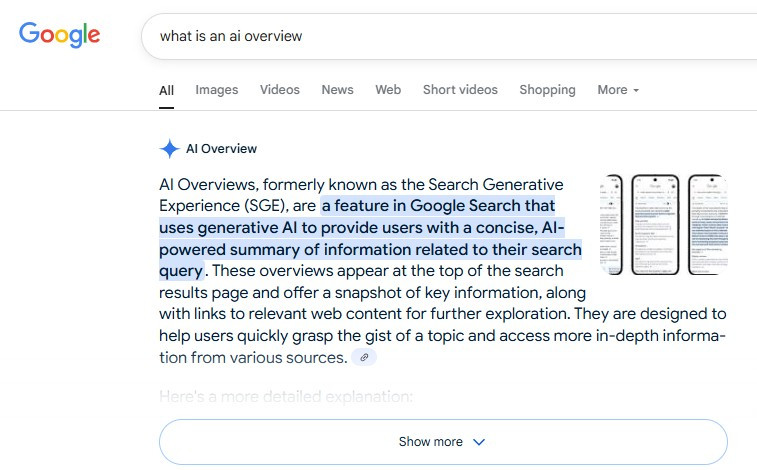 www.temeritydigital.com.au-wp-content-uploads-2025-07-_ai-overview-screenshot.jpg
