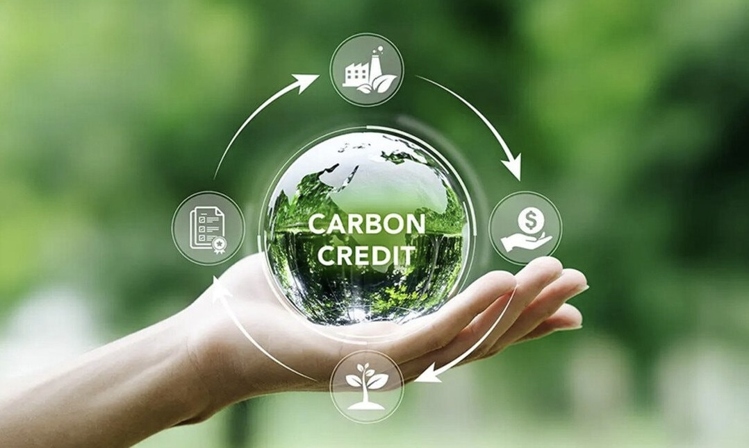 sàn giao dịch các-bon việt nam mua bán tín chỉ carbon-1