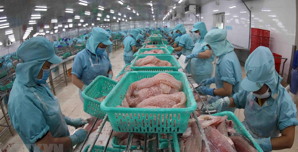 Sản phẩm cá tra xuất khẩu từng bị kiện về PVTM. Ảnh: TL