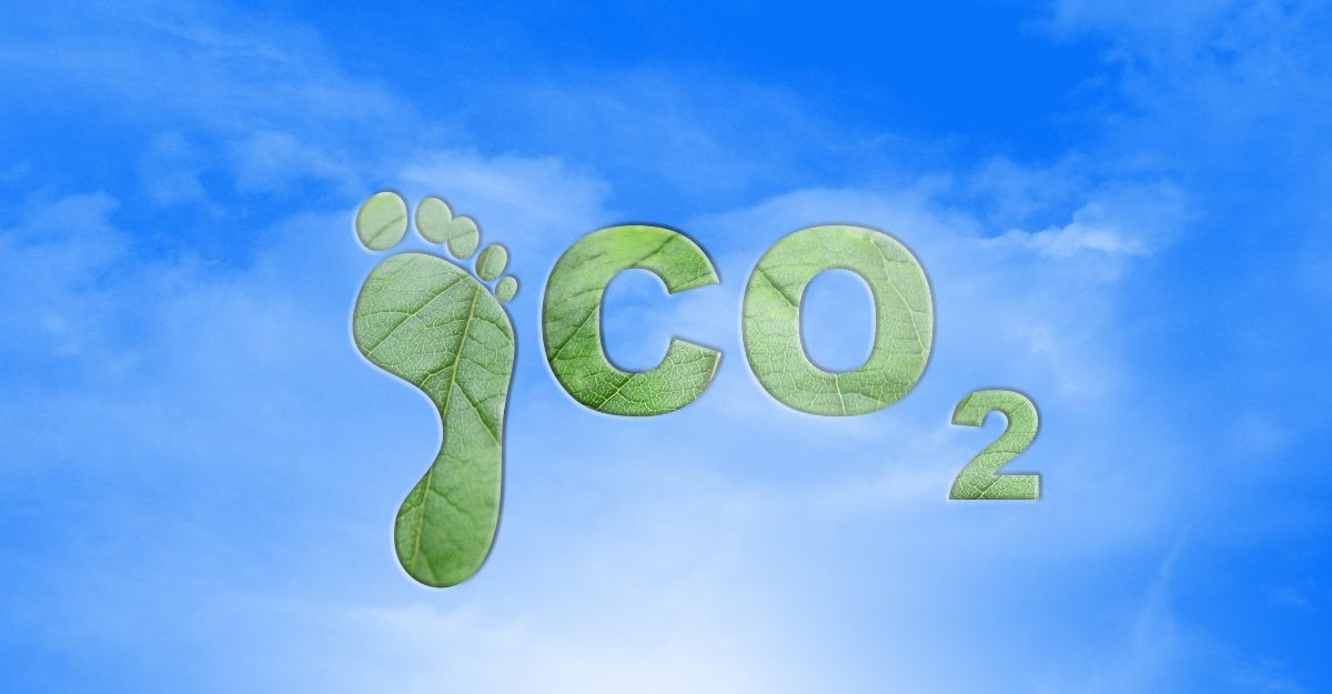carbon-footprint.jpg