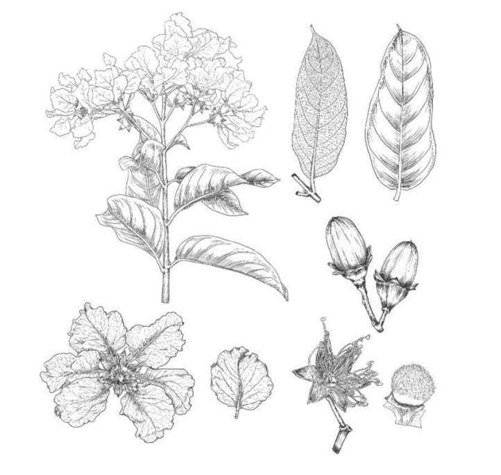 untitled(1).png