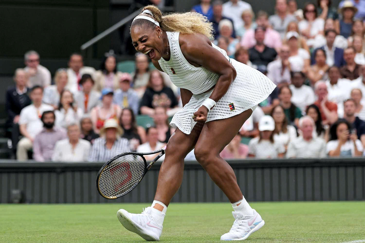 williams.jpg