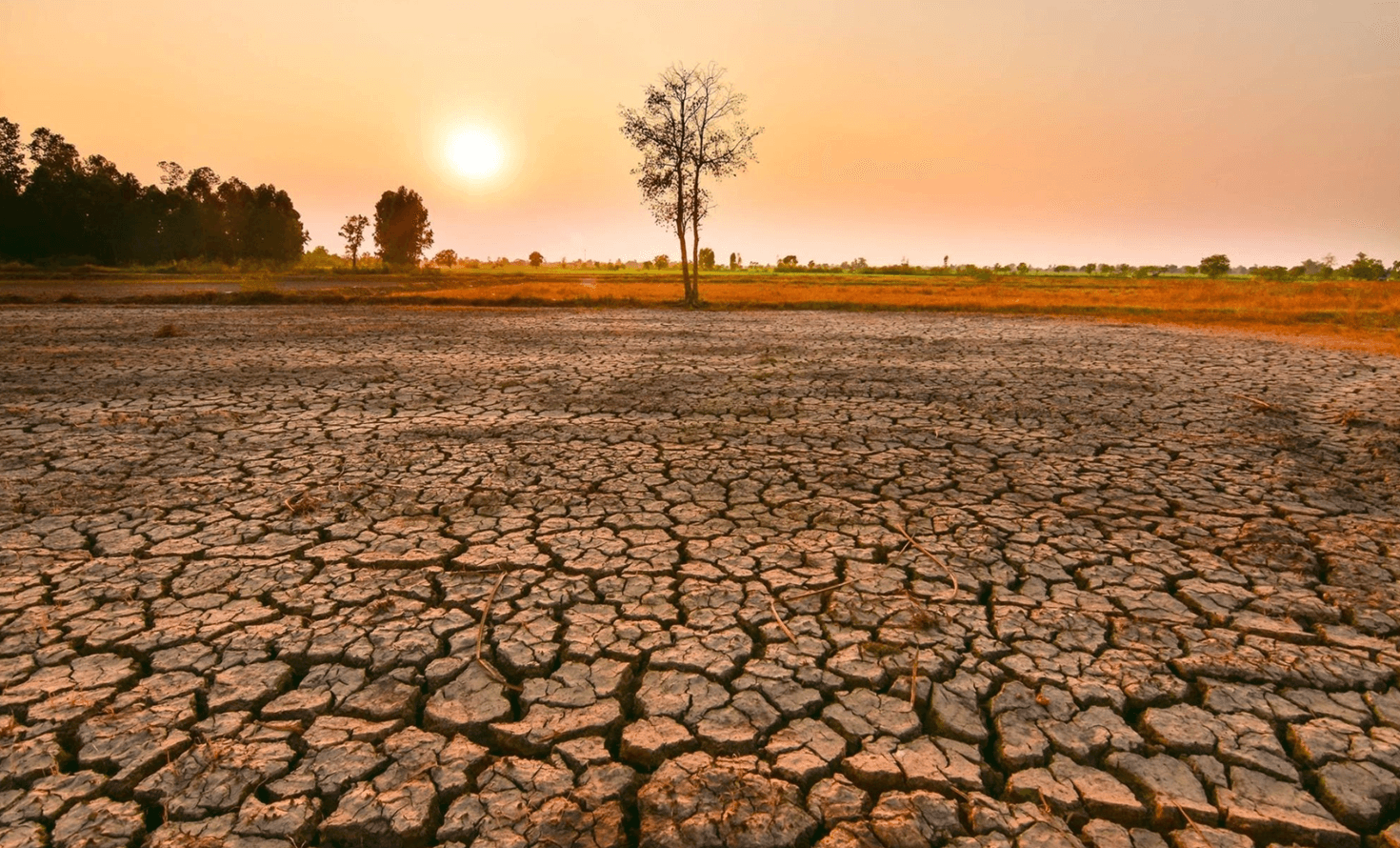 Câu chuyện “Siêu El Nino” 150 năm trước gây lo ngại cho 2026 
