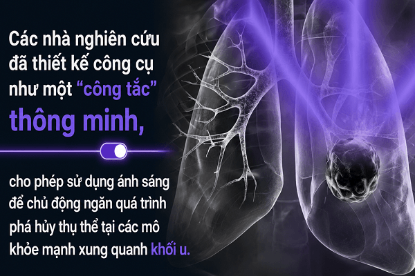 dieu-tri-ung-thu-bang-cong-tac-anh-sang-chuyen-gia-viet-noi-gi-ve0dot-pha-gay0sot-tu-thuy-si-hinh-anh 3