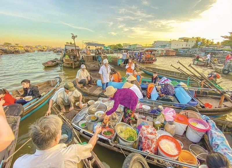 dl viet hong 5