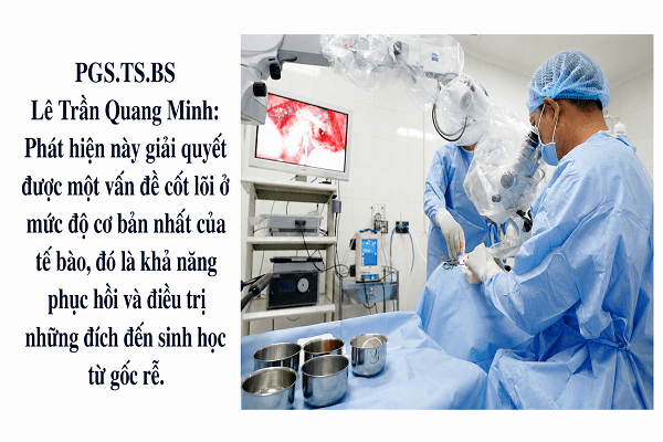 dot-pha-tai-tao-te-bao-thinh-giac-bao-gio-nguoi-diec-nghe-lai-duoc-hinh-anh.png