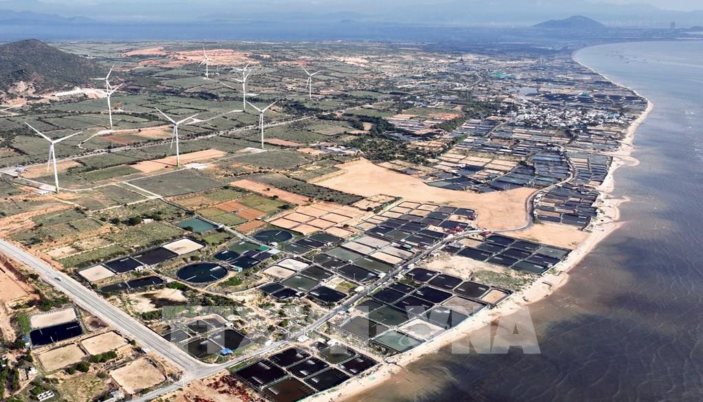 ninh-thuan-hat-nhan.jpg