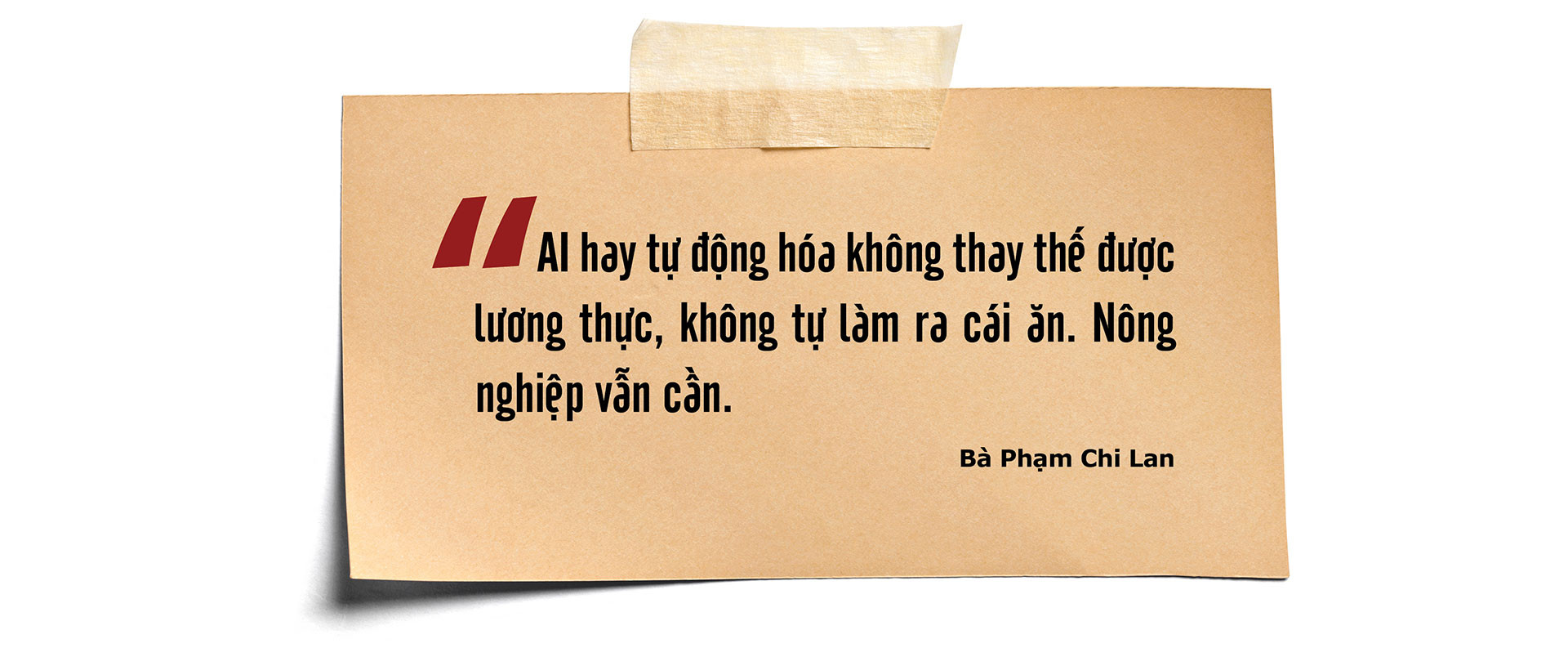 pham-chi-lan-pc-version4_04.jpg