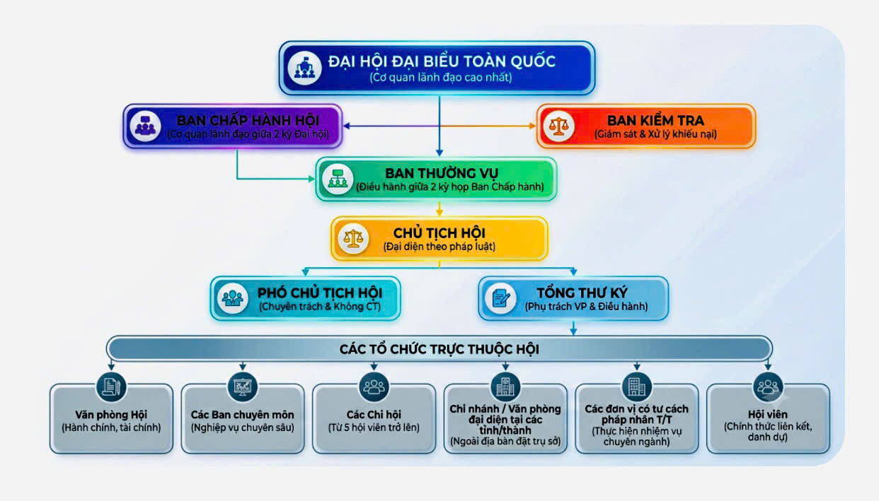 TỔ CHỨC BỘ MÁY CỦA HỘI THÔNG TIN KHOA HỌC VÀ CÔNG NGHỆ VIỆT NAM THEO ĐIỀU LỆ SỬA ĐỔI, BỔ SUNG MỚI NHẤT