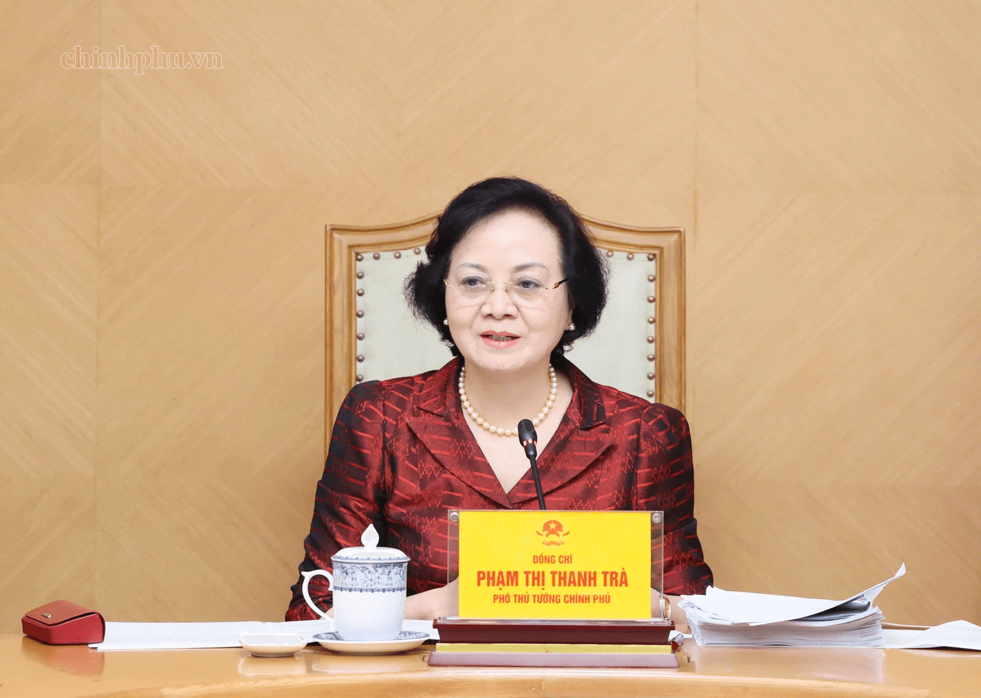 pho-thu-tuong-pham-thi-thanh-tra-1.png