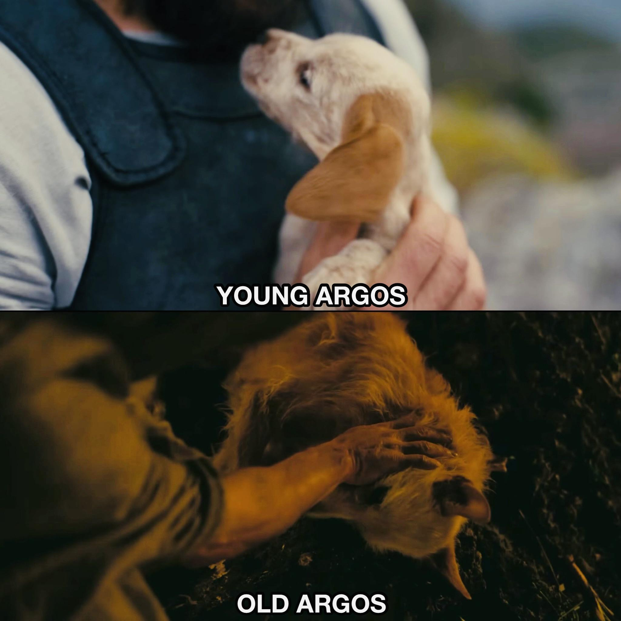 chucho.jpeg
