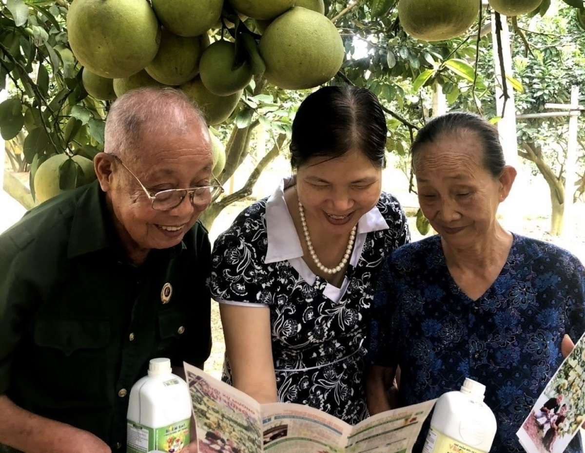 HTX hữu cơ Tiên Dương thiết lập chuỗi liên kết giữa nhà sản xuất, nhà quản lý, nhà khoa học, nhà phân phối và người tiêu dùng. Ảnh: NVCC