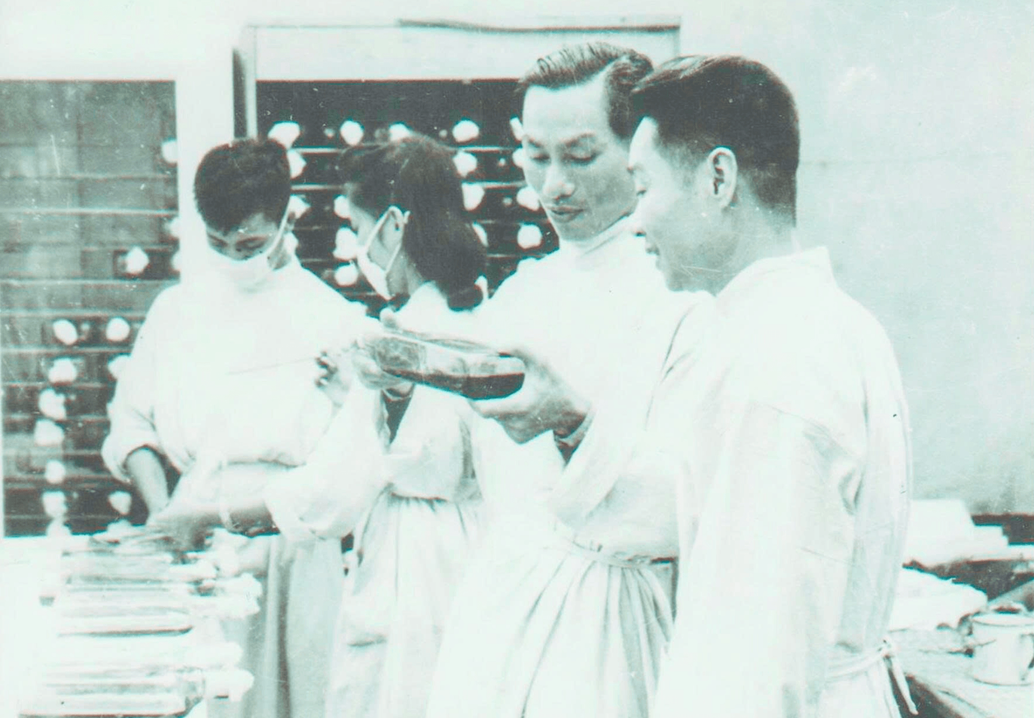 lựa chọn dấn thân