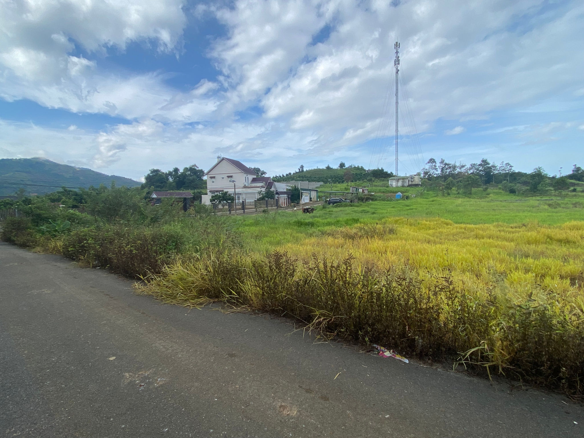 img_1286.jpeg