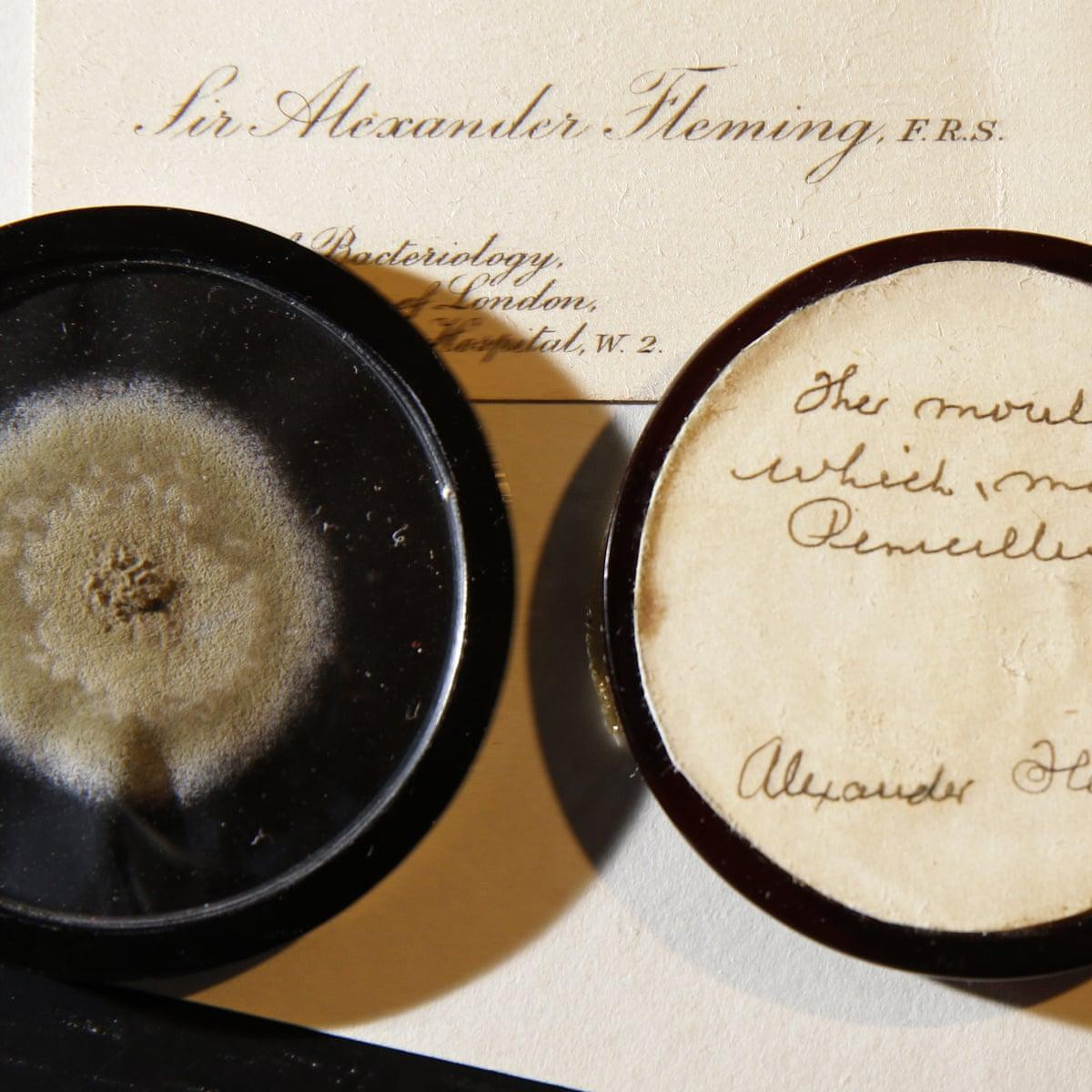 Mẫu nấm mốc penicillin và chữ viết tay của Alexander Fleming.