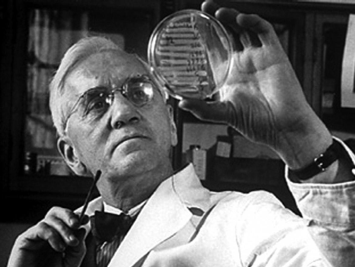 alexander-fleming-tu-cau-be-vung-nong-non-den-nha-khoa-hoc-nhin-thay-phep-mau3.jpg
