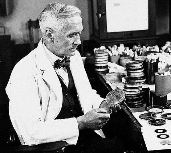 alexander-fleming-tu-cau-be-vung-nong-non-den-nha-khoa-hoc-nhin-thay-phep-mau4.jpg