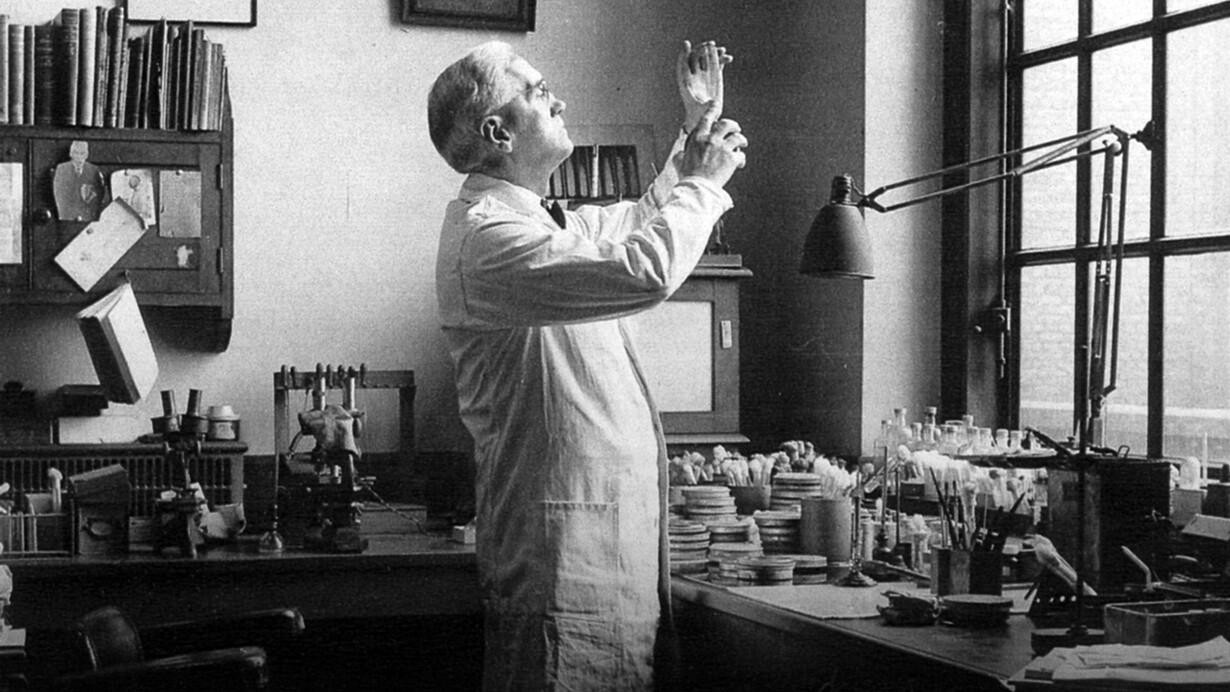 Alexander Fleming trong phòng thí nghiệm tại St Mary’s, quan sát một đĩa nuôi cấy. Trước mặt ông là các dụng cụ, chai lọ và nhiều đĩa nuôi cấy được sử dụng trong nghiên cứu vi khuẩn và nấm mốc.