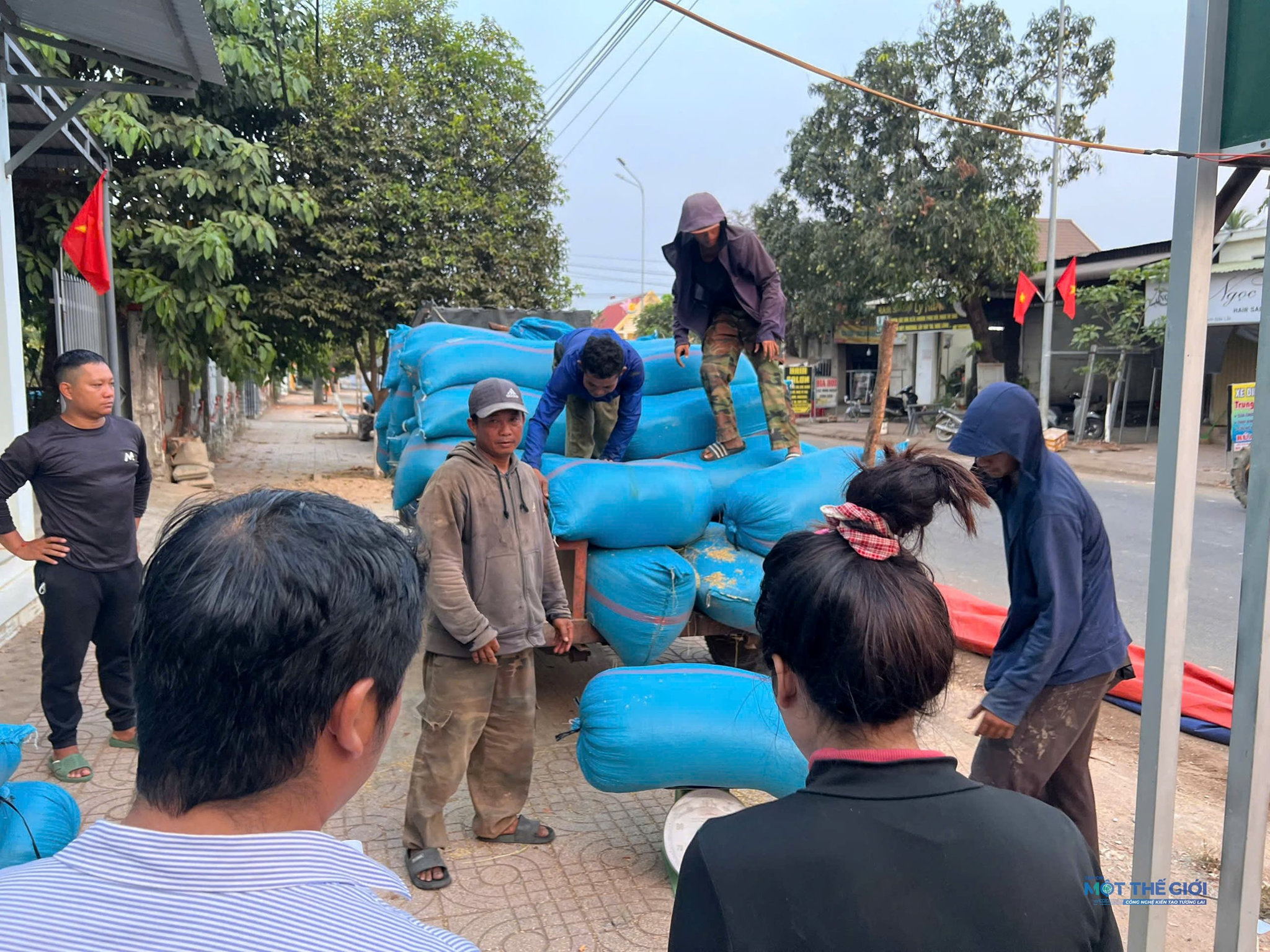 HTX thu mua lúa gạo cho người dân. Ảnh: HL
