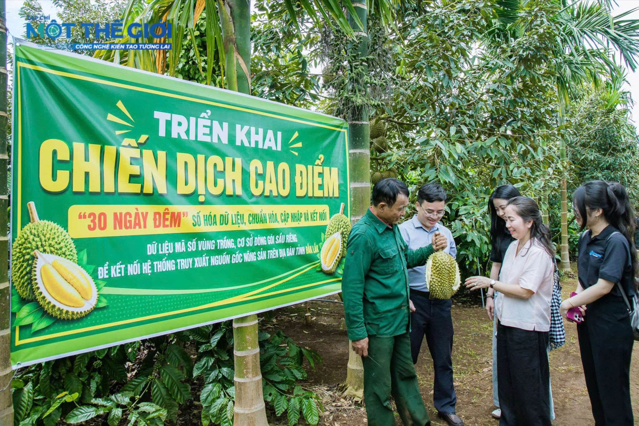 Sầu riêng 2