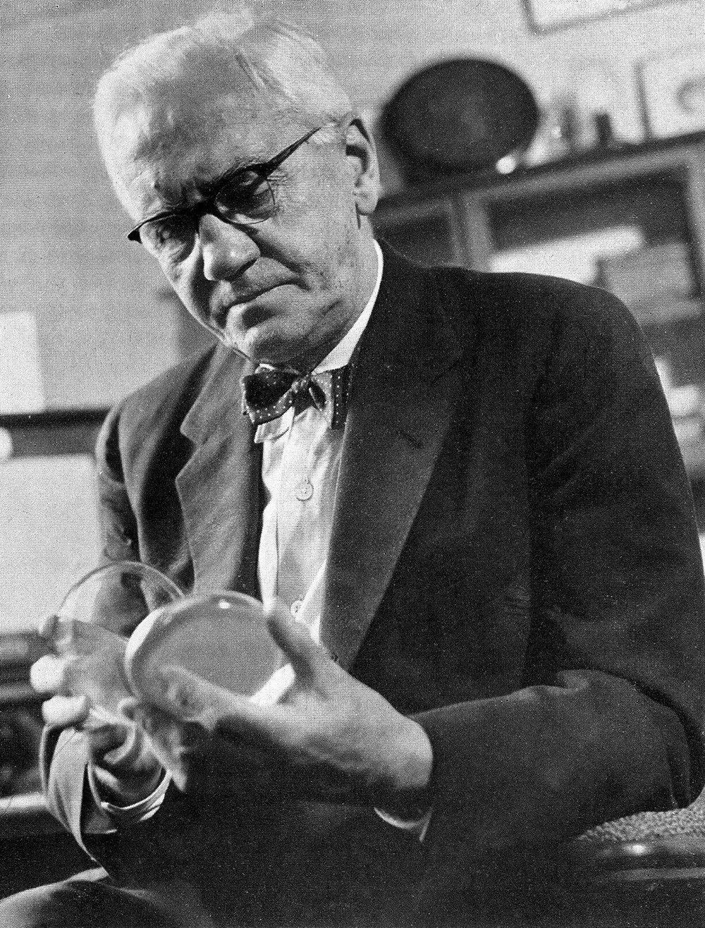 Alexander Fleming quan sát một đĩa nuôi cấy trong phòng thí nghiệm.