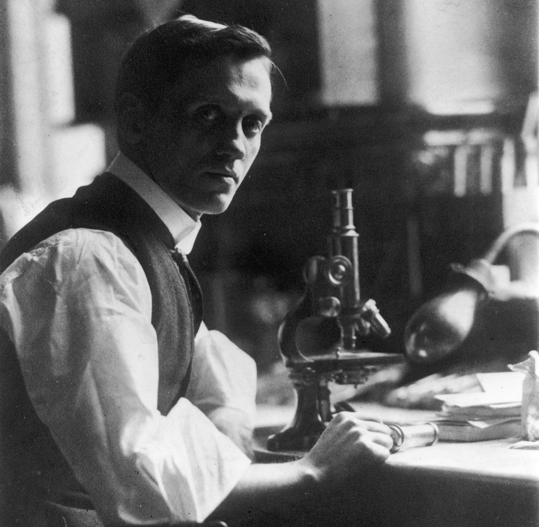 Giai thoại Alexander Fleming cứu mạng Thủ tướng Anh bằng penicillin và sự thật phía sau (2)