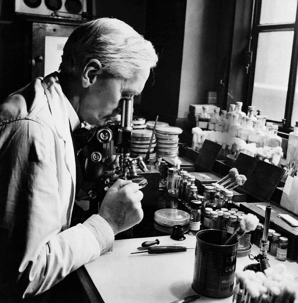 Giai thoại Alexander Fleming cứu mạng Thủ tướng Anh bằng penicillin và sự thật phía sau (7)