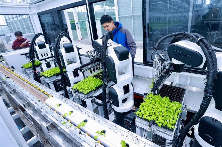 Trung Quốc đưa AI, robot vào nông nghiệp, một người có thể quản lý hơn 600ha 