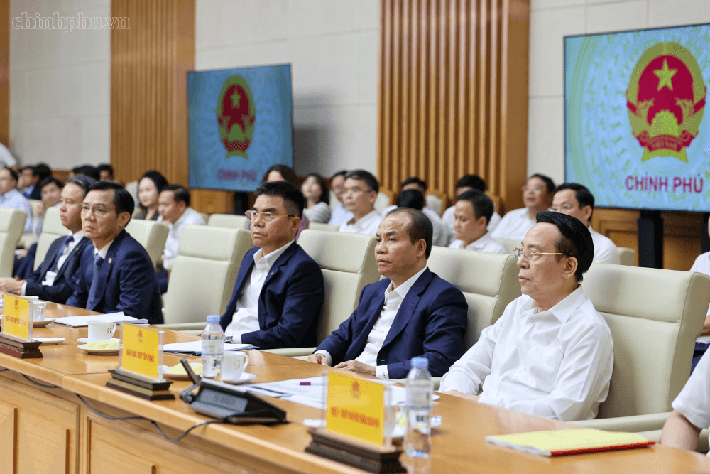 Thủ tướng Chính phủ Lê Minh Hưng làm việc với ngân hàng nhà nước và hệ thống tín dụng-6