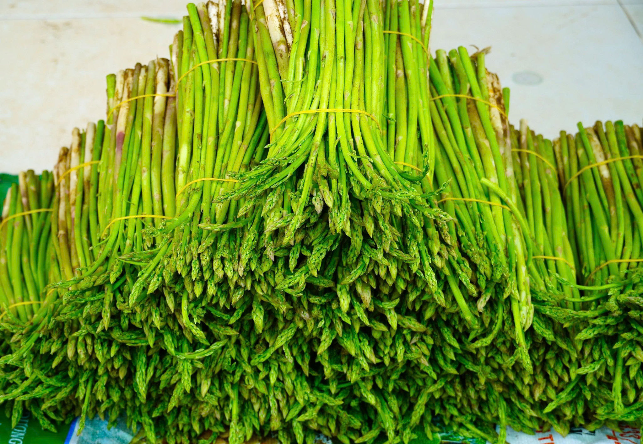 măng tây trên đất cát (2)