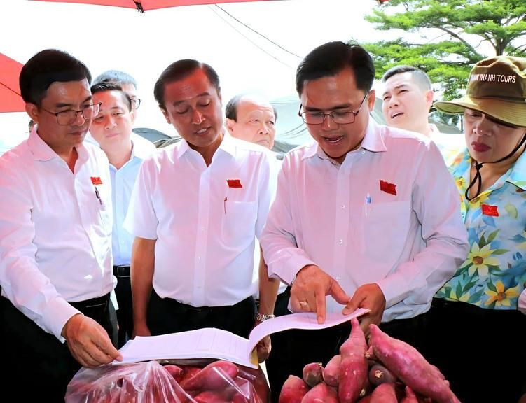 PCT HĐND TPHCM Huỳnh Thanh Nhân cùng các đại biểu kiểm tra sổ ghi chép của các sạp kinh doanh. Ảnh: hdnd.hochiminhcity.gov.vn.