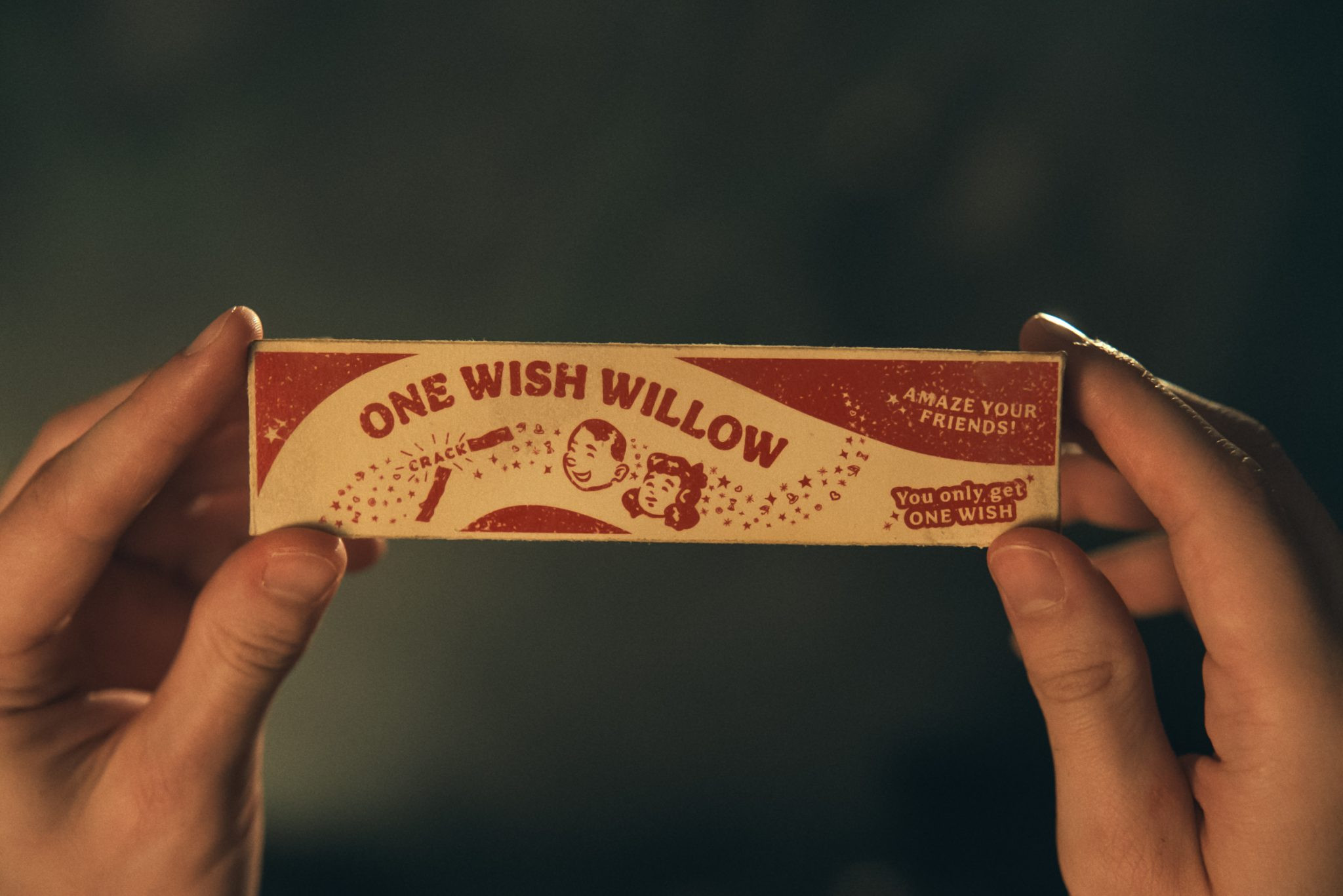 Nikki là “nạn nhân” của lời nguyền One Wish Willow.