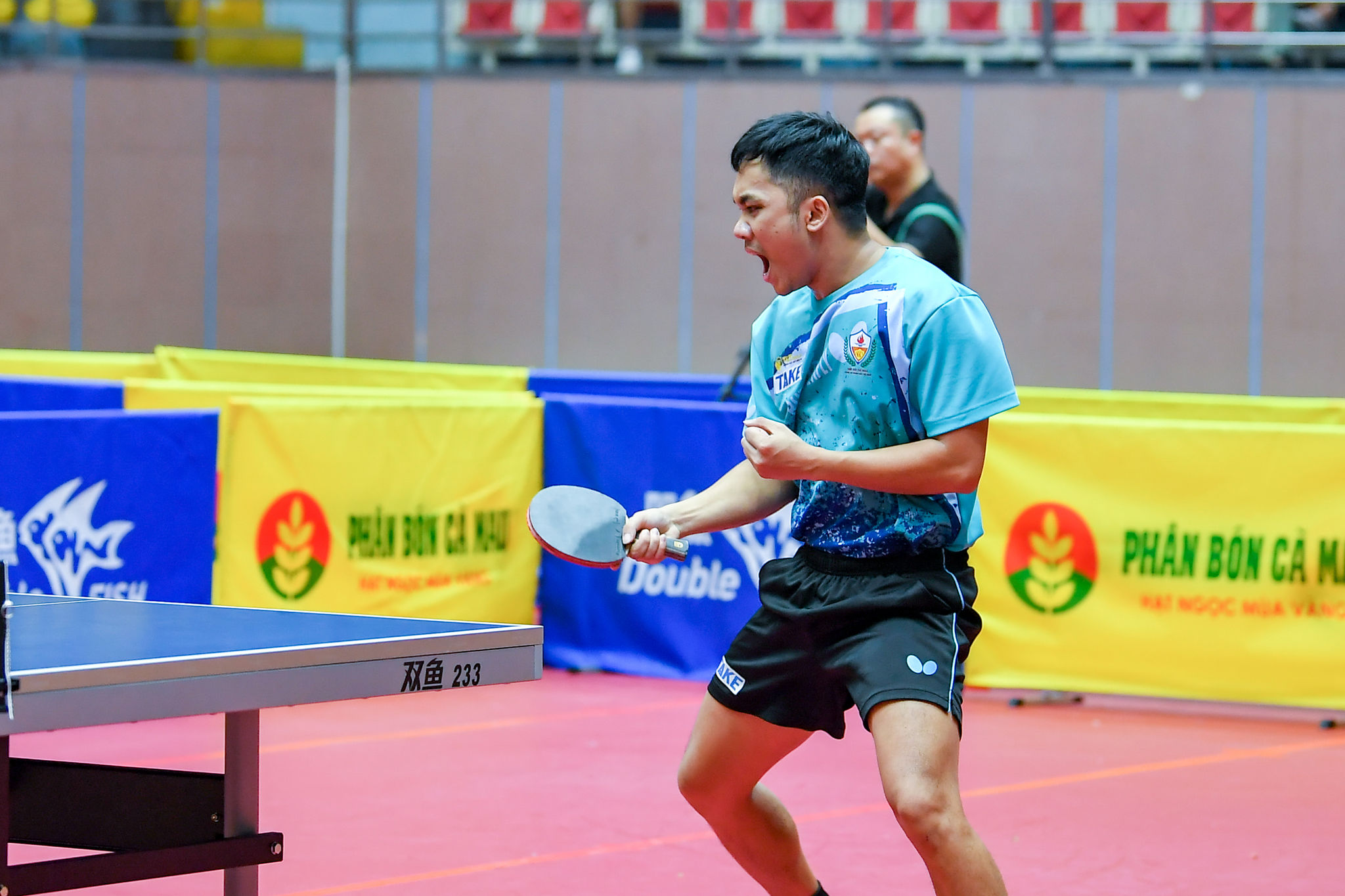 Dinh Anh Hoang