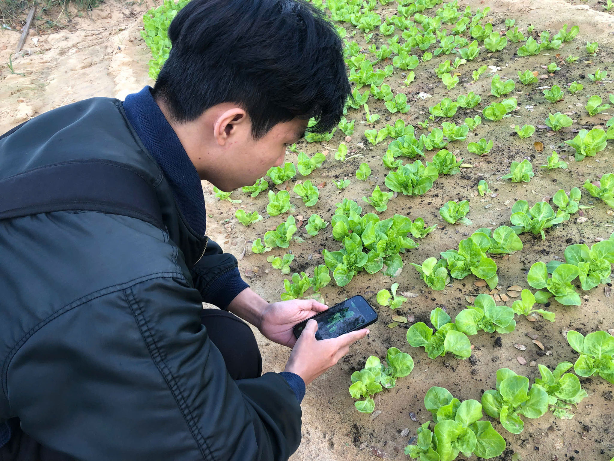 14 Thu thập (2)
