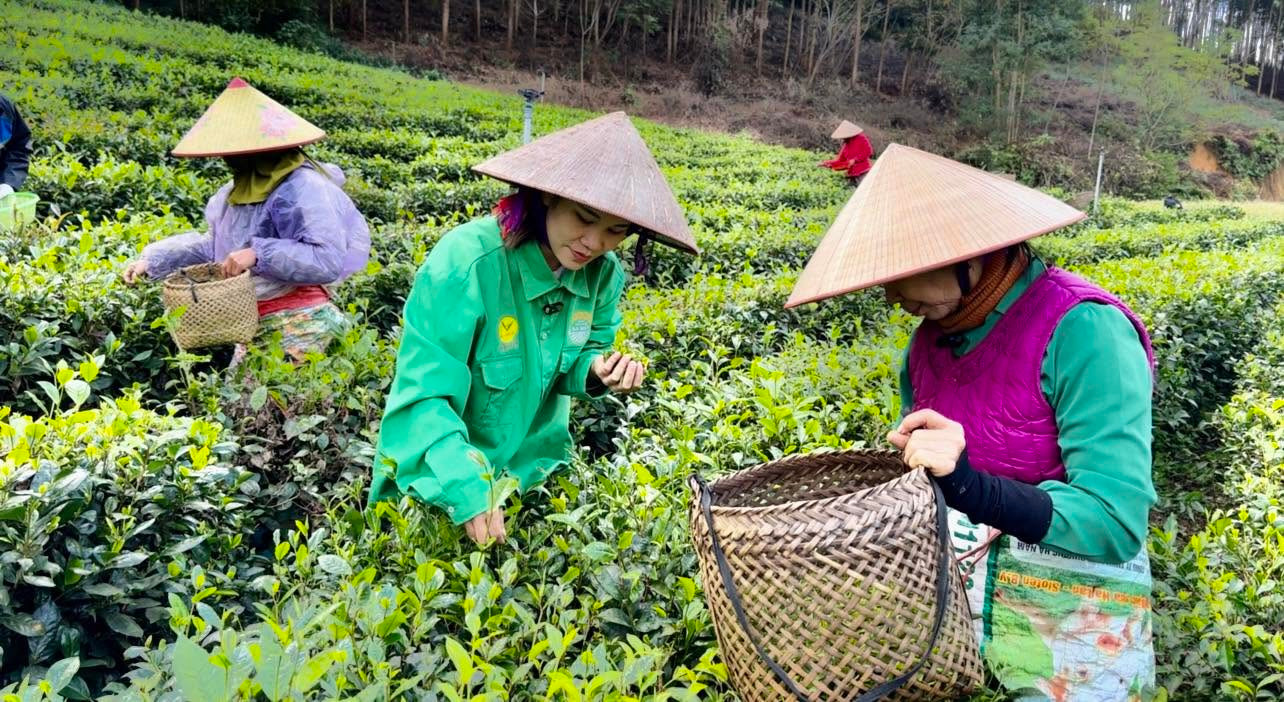 HTX Nông sản Phú Lương (4)