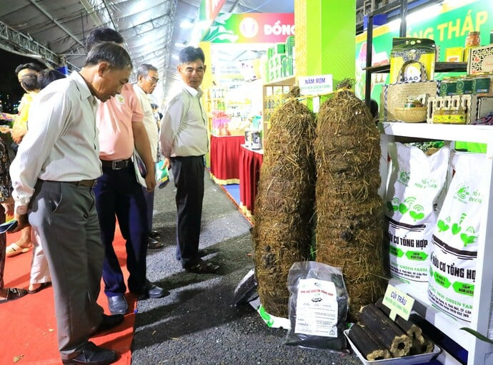 lúa gạo 1