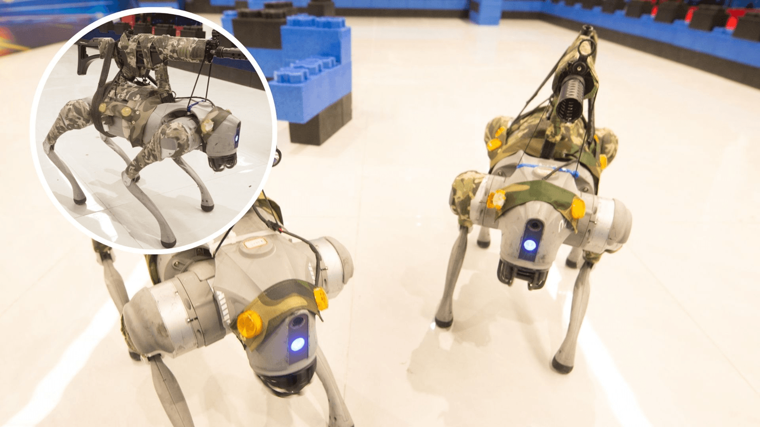 robot chó TQ2