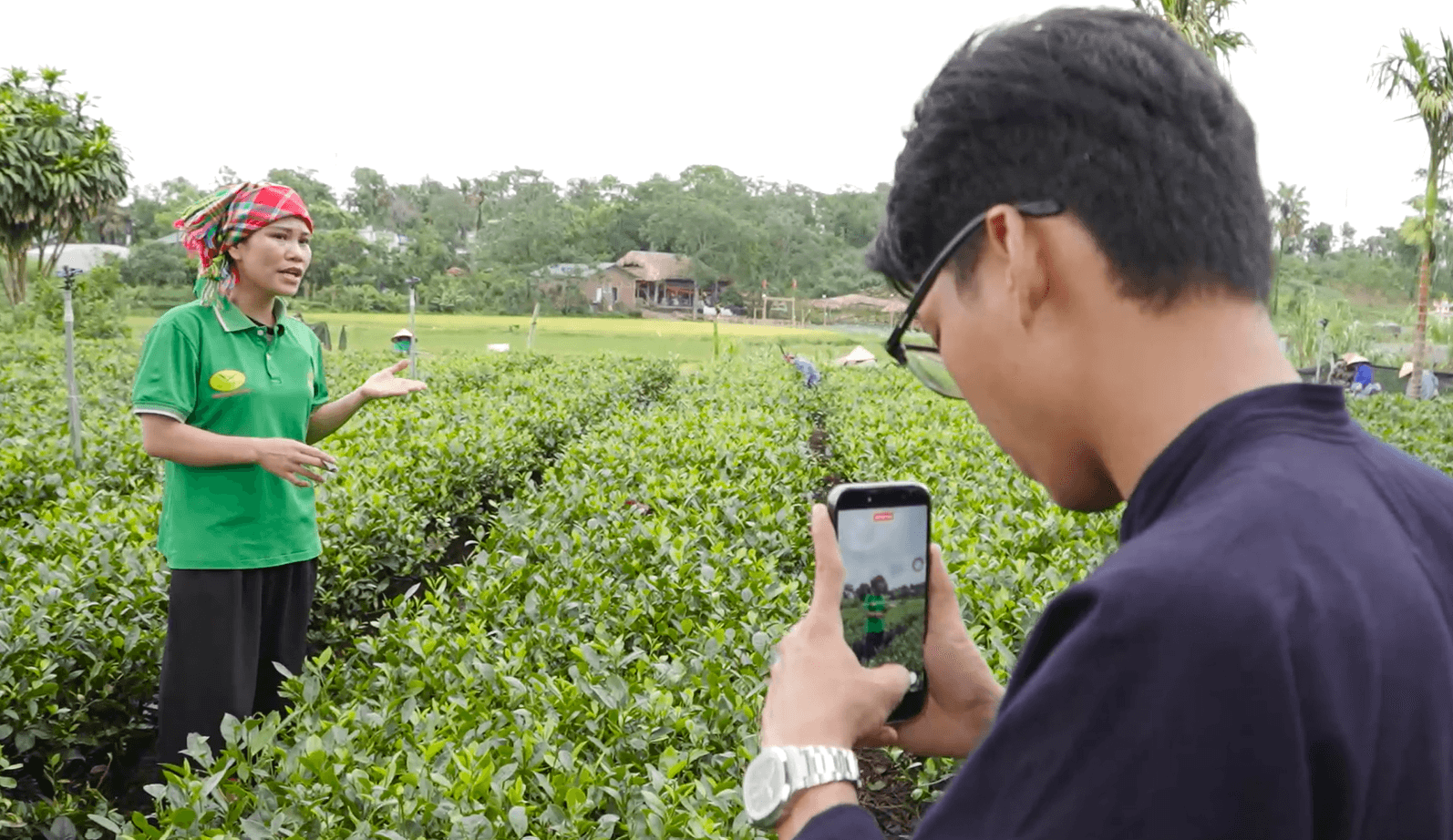 Nông dân rủ nhau quay video, livestream, bán nông sản online: Chuyện lạ đang diễn ra ở một HTX chè Thái Nguyên 