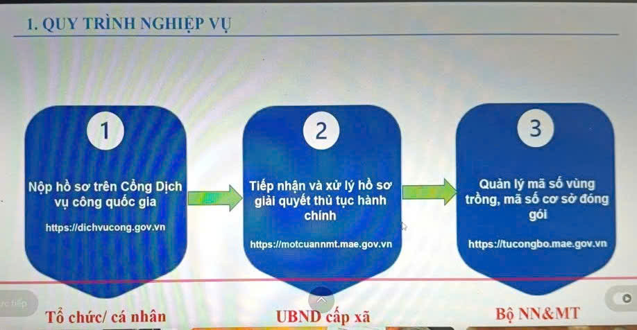 TTKN 5
