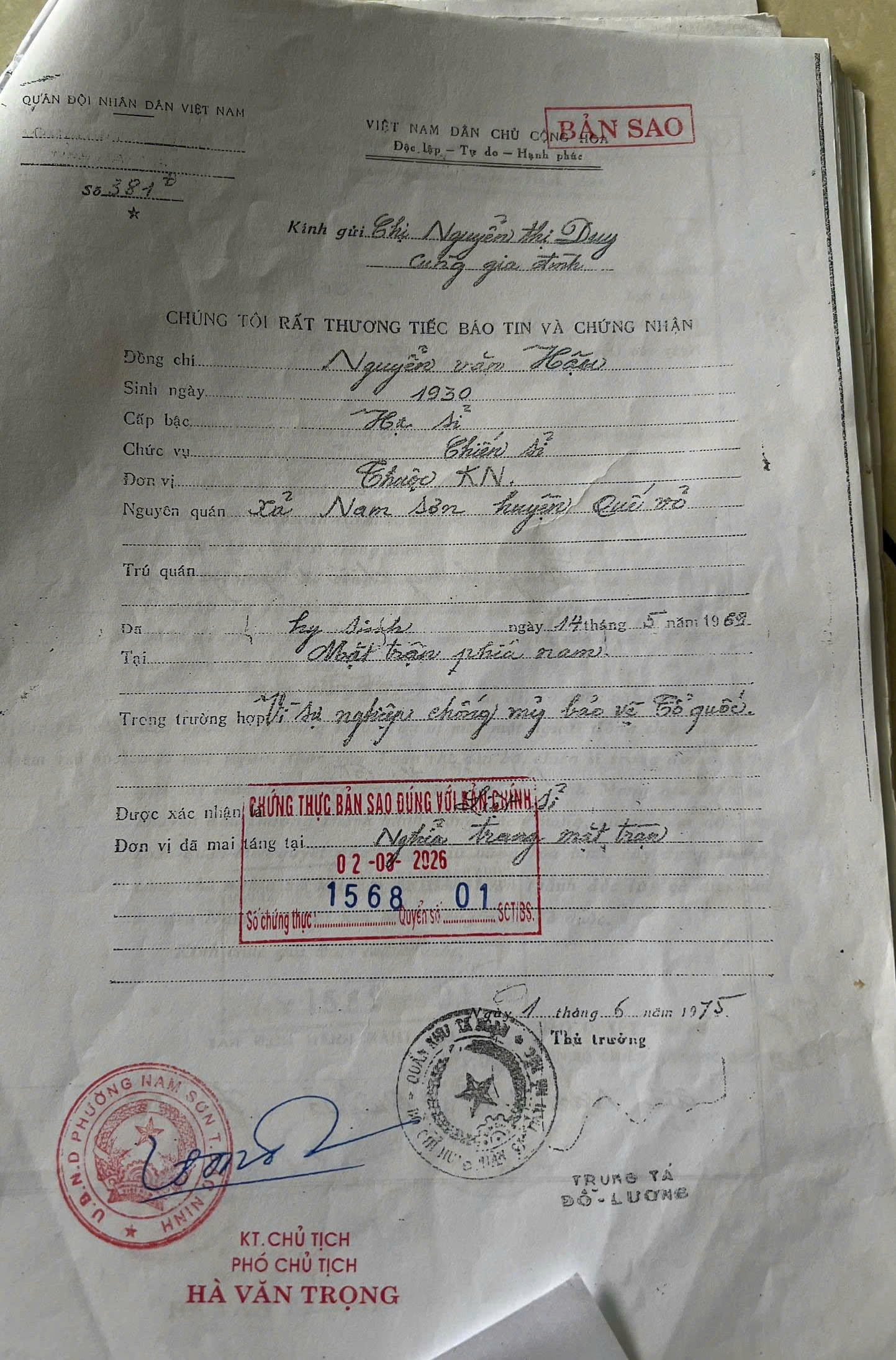 c879b58b353cb462ed2d.jpg
